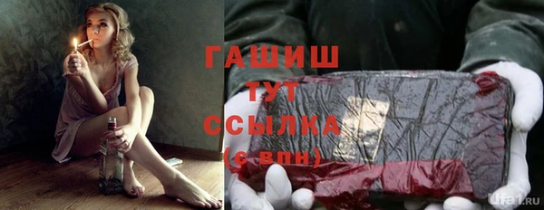 спиды Ельня
