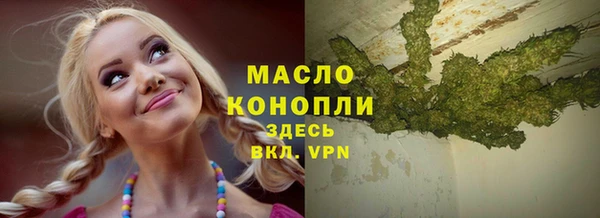 спиды Ельня