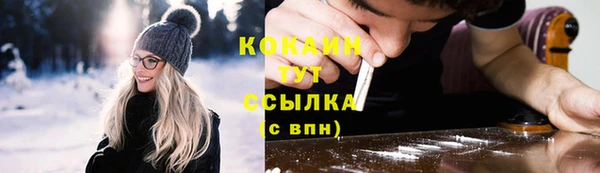 спиды Ельня