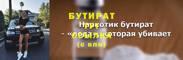 спиды Ельня