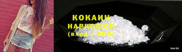 спиды Ельня