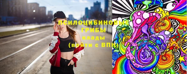 спиды Ельня