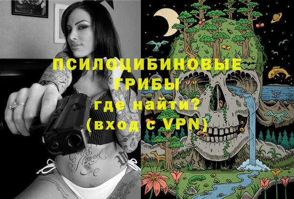 спиды Ельня