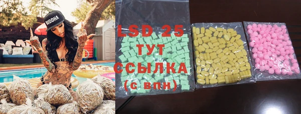 спиды Ельня