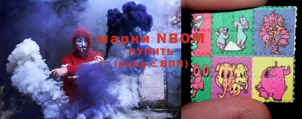 спиды Ельня