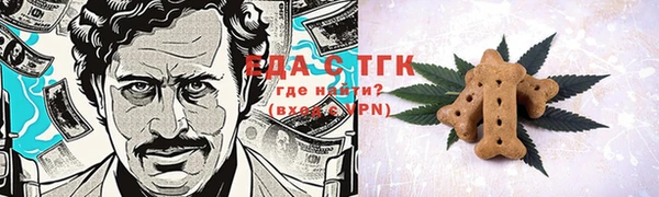 спиды Ельня