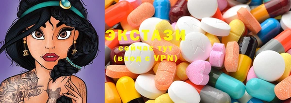 спиды Ельня