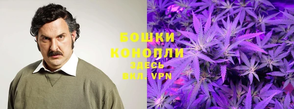 спиды Ельня