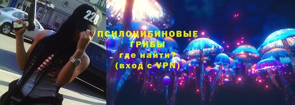 спиды Ельня