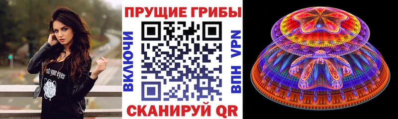 Галлюциногенные грибы MAGIC MUSHROOMS  Купить где  Киселёвск 